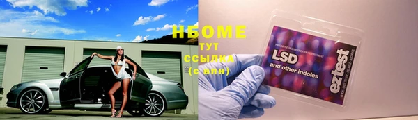 прущий лед Армянск