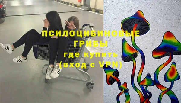 прущий лед Армянск