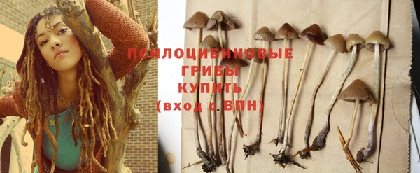 прущий лед Армянск