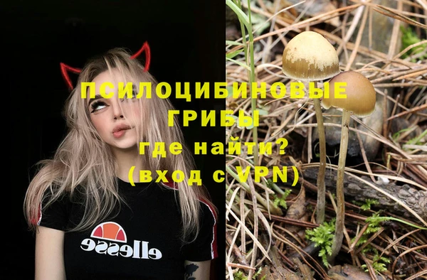 твердый Аркадак