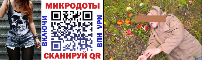 Псилоцибиновые грибы Cubensis  Купить закладки  Николаевск 